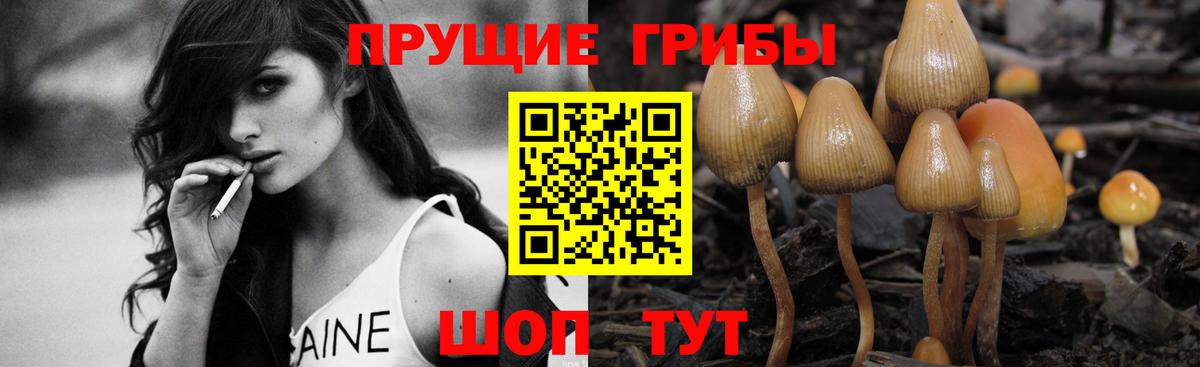 Галлюциногенные грибы мицелий  Псилоцибиновые грибы Cubensis  Вход с VPN  Камышин 